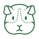 Meerschweinchen Icon für Tiersicherheitsbewertung