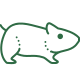 Hamster Icon für Tiersicherheitsbewertung